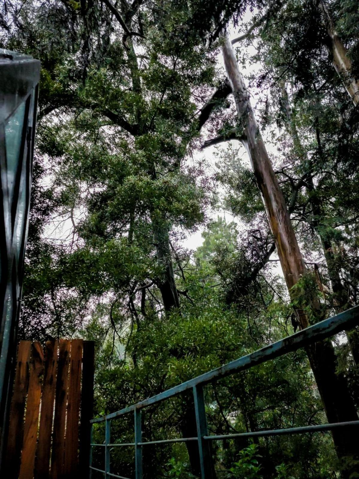 Hotel Woodhouse Ooty Exteriér fotografie